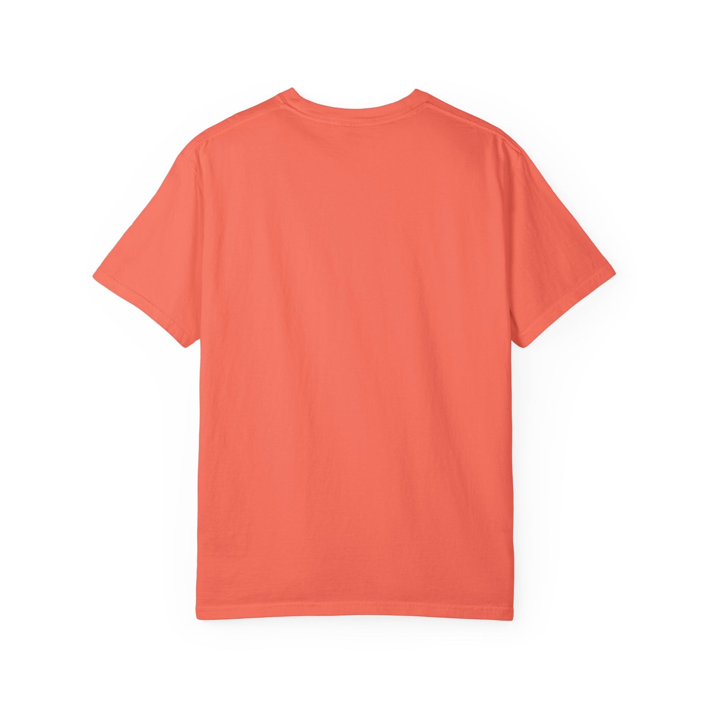 Shenanigans Unisex Garment-Dyed T-Shirt